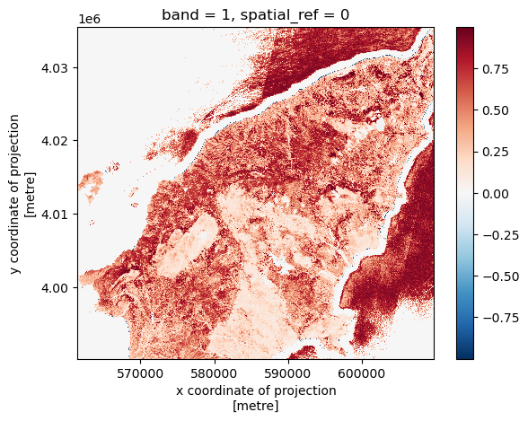 NDVI map