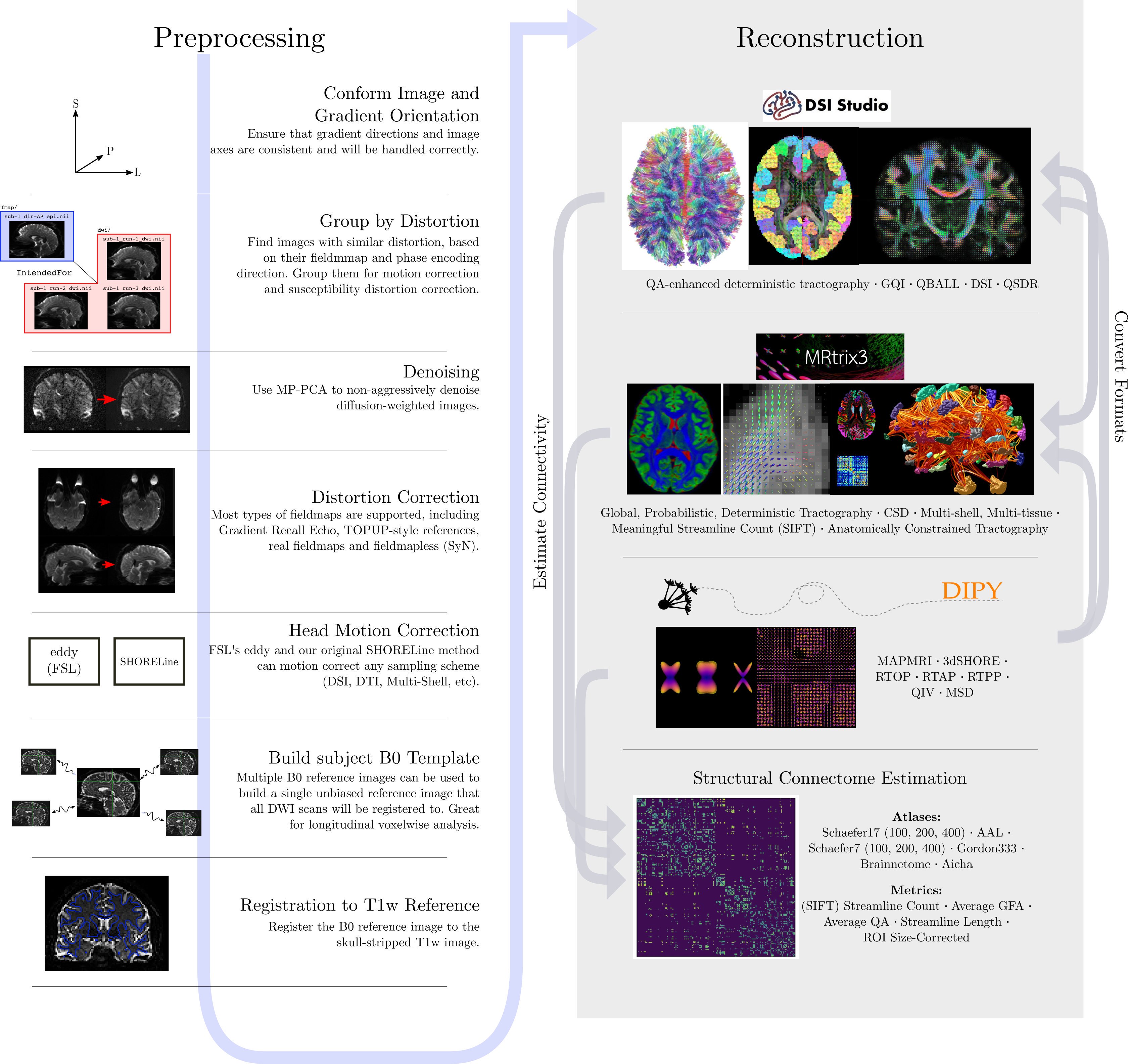 dMRI preprocess steps