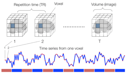 FMRI timeseries