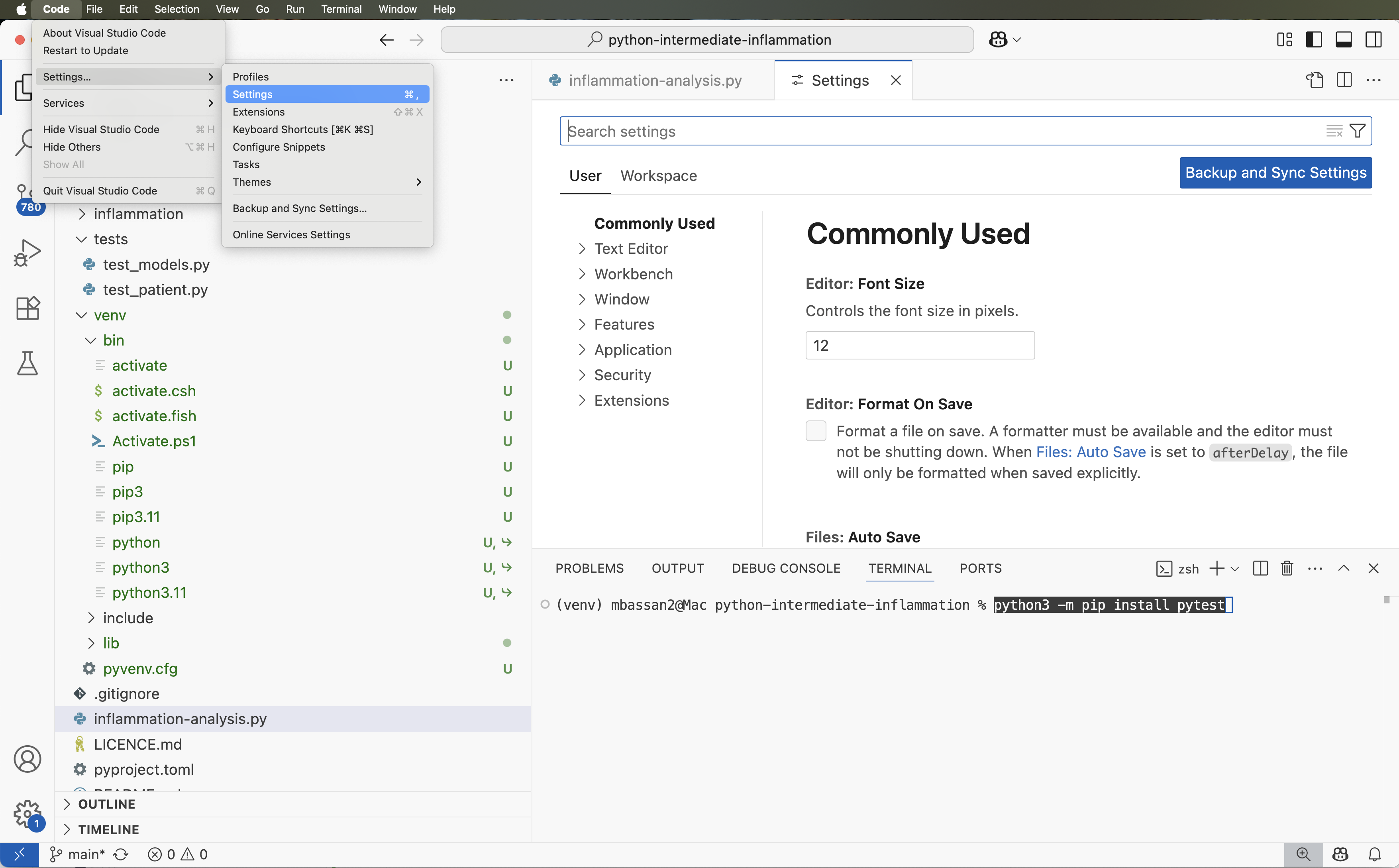 Settings editor in VS Code