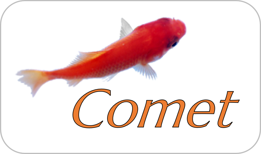 Comet software logo